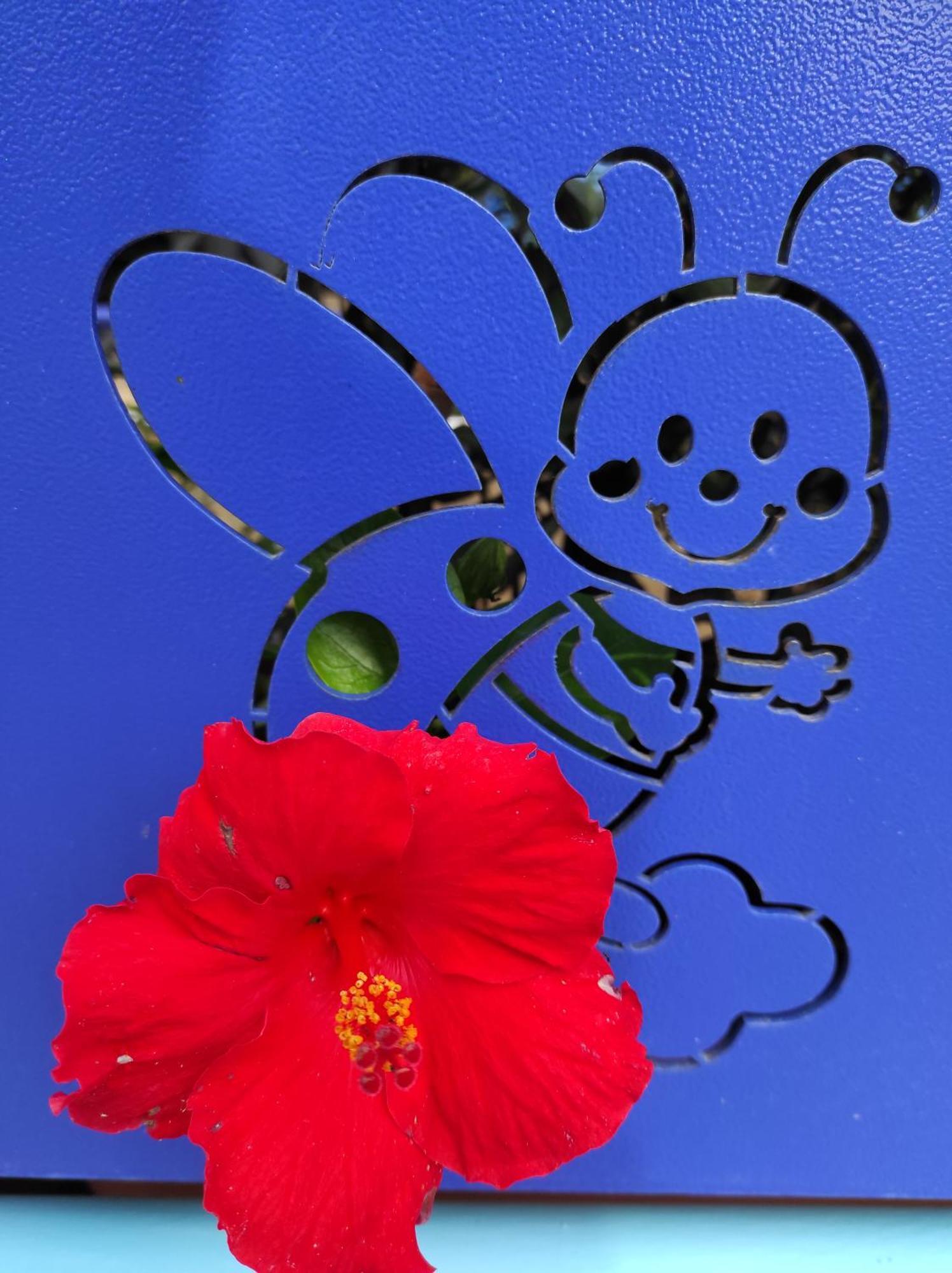 فندق Coccinella ساباوديا المظهر الخارجي الصورة