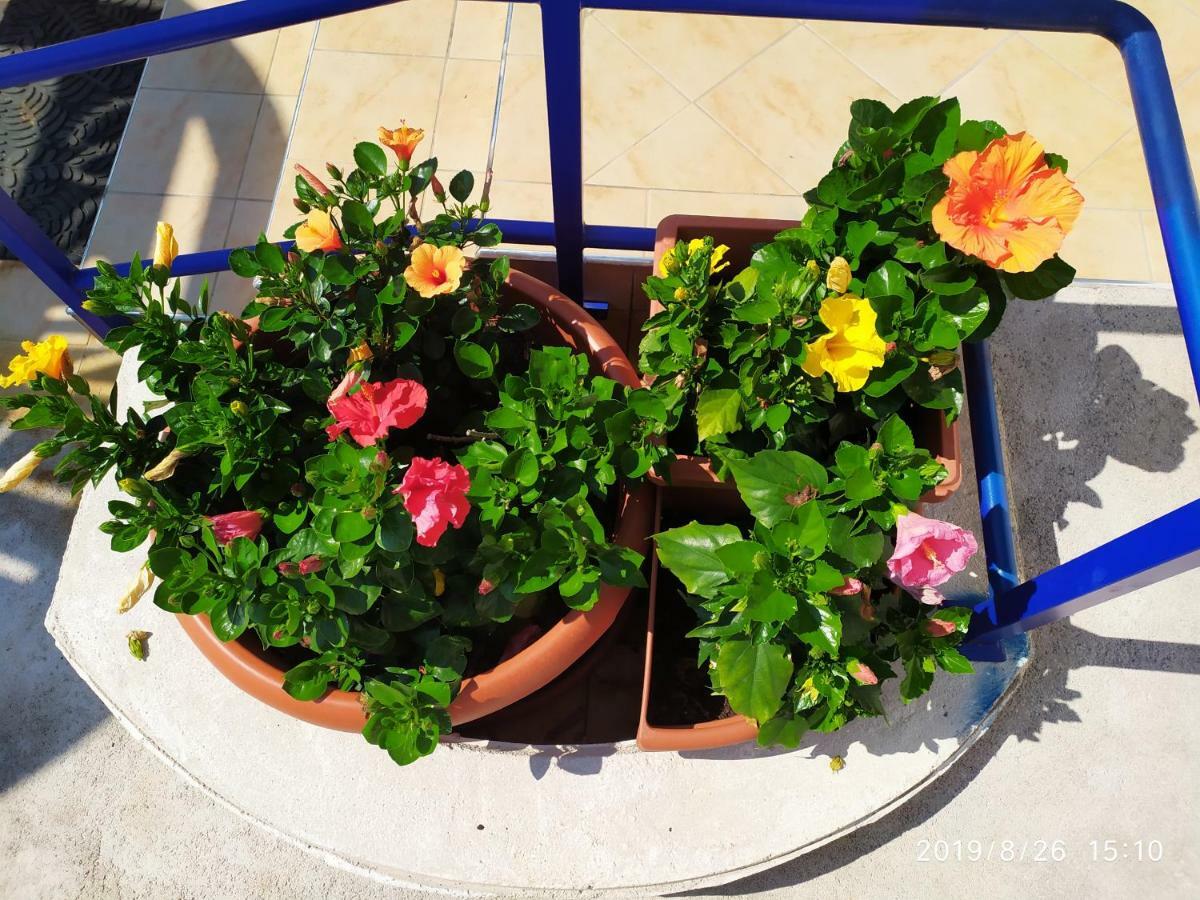 فندق Coccinella ساباوديا المظهر الخارجي الصورة